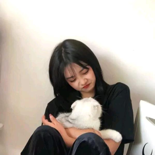 白羊迪🐑