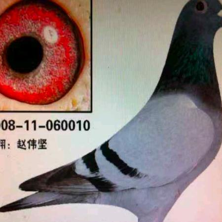 赵伟坚百货商店（个体工商户）