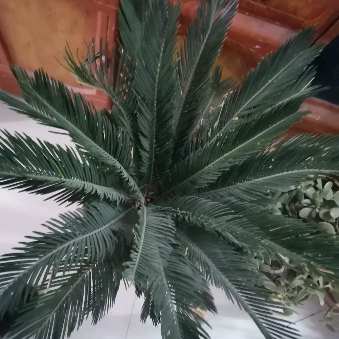 放开心态笑一笑