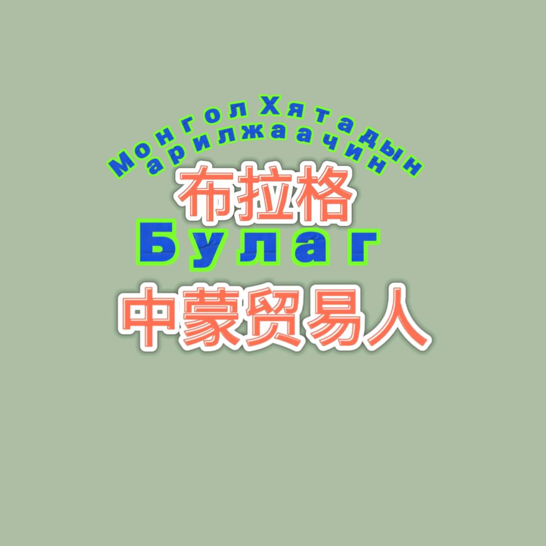 布拉格 蒙古国投资者