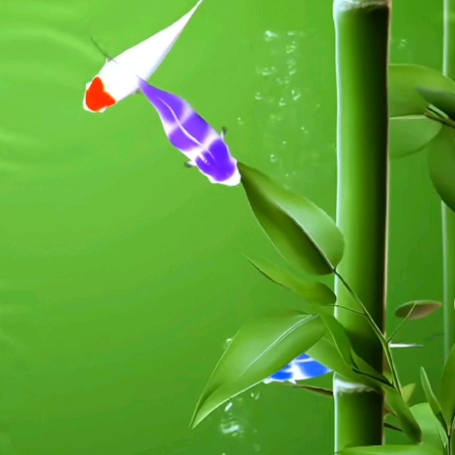 弯弯鱼…🐬🦈