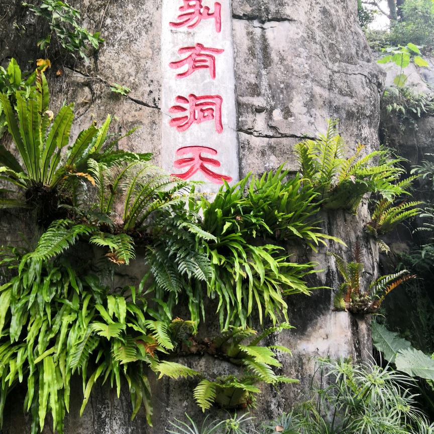 天天如此