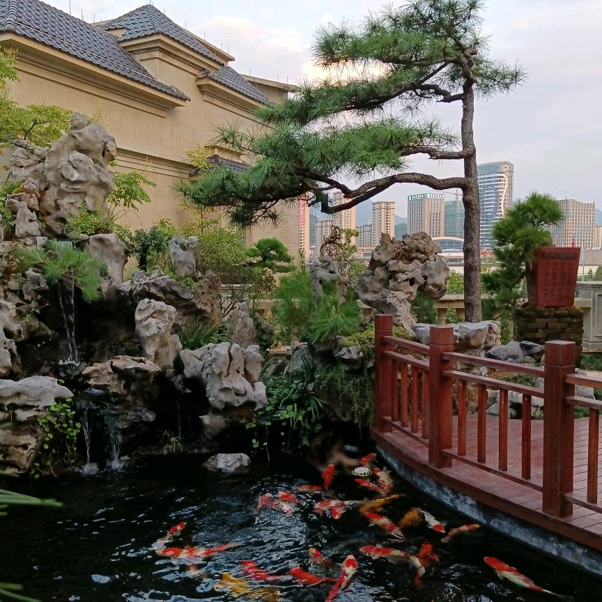 高处不胜寒xyk