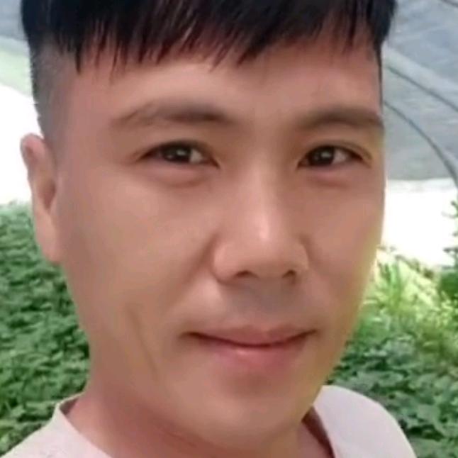不再迷茫振东