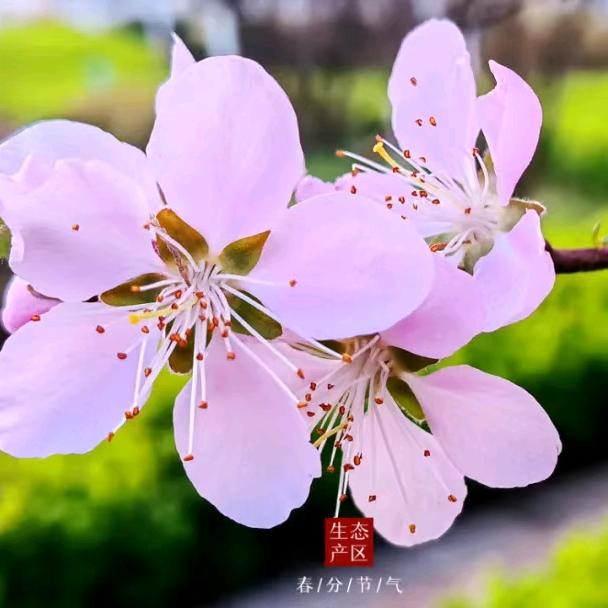 深情不及久伴💖😙❤️