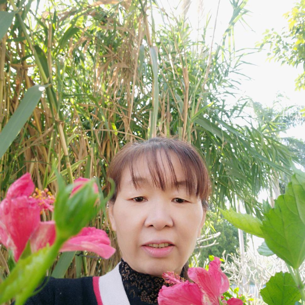 芬芬