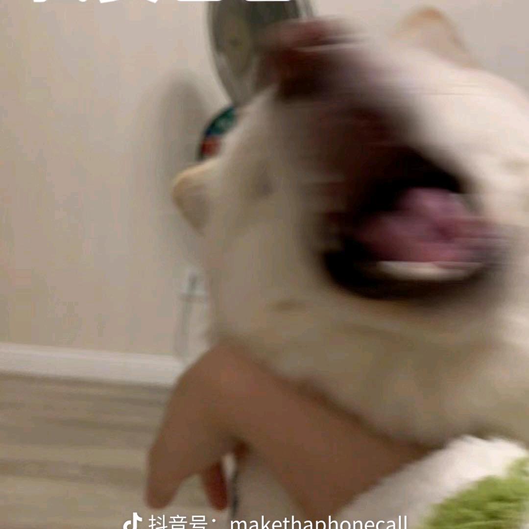 多肉牙牙