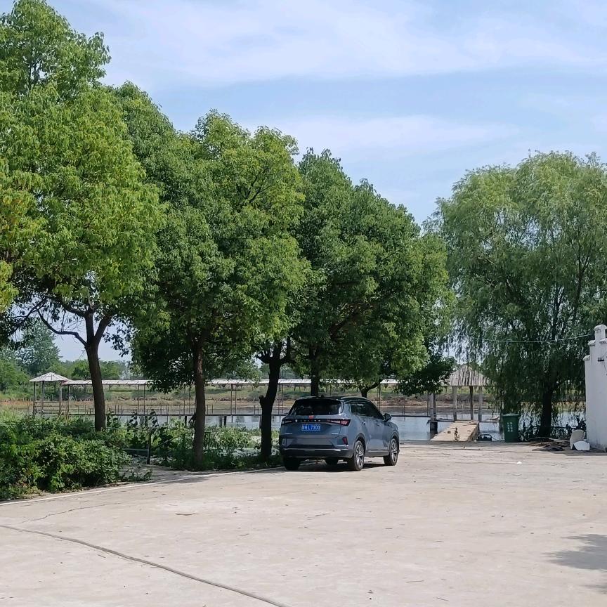 下龙窝钓场（专业垂钓鱼配送）