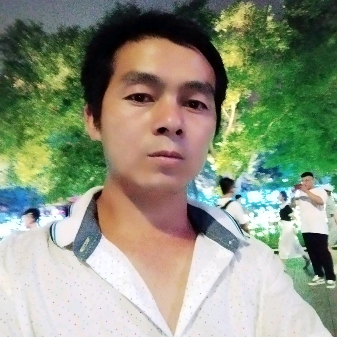 志向枫叶