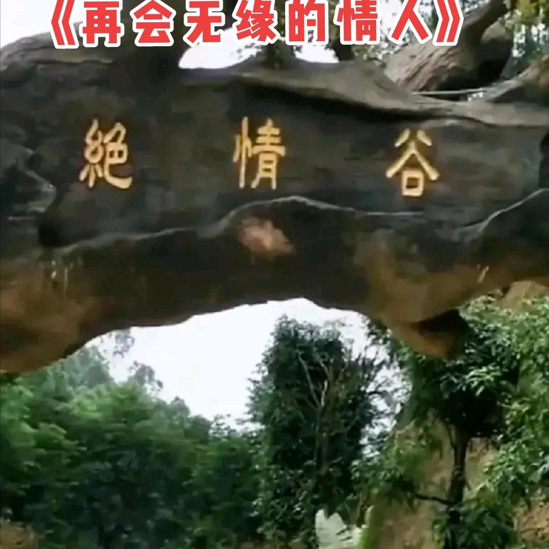 心爱就是宝