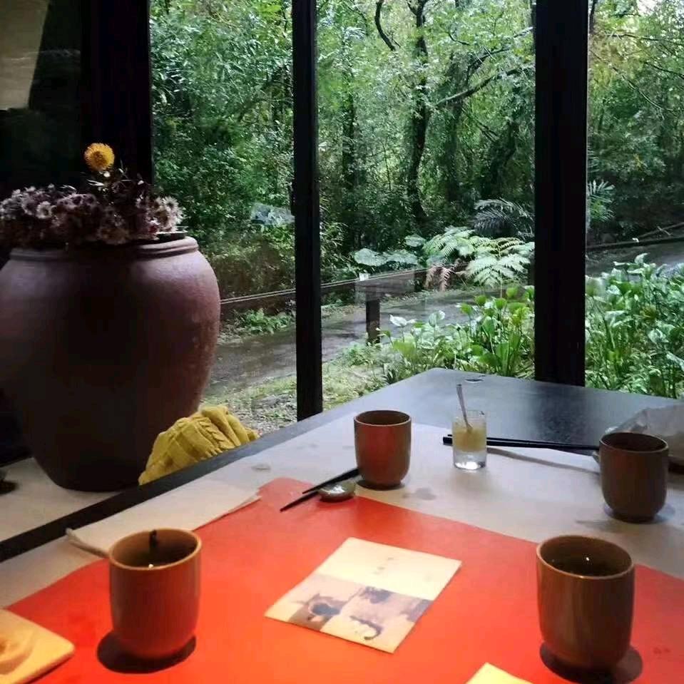 孙某的野钓日记