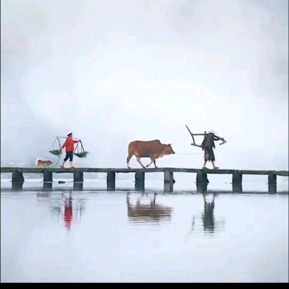 子墨