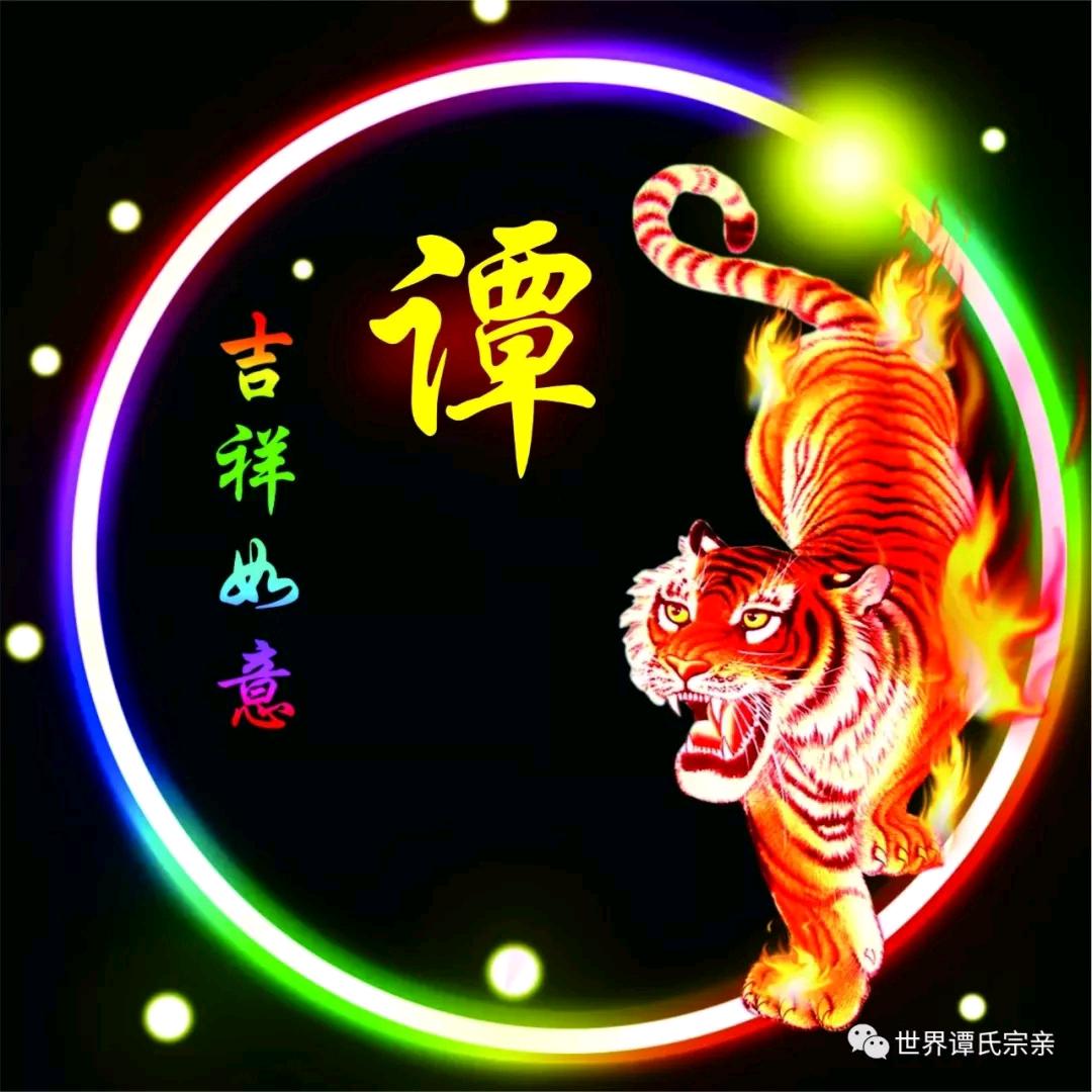 谭哥~川x🇨🇳🐯