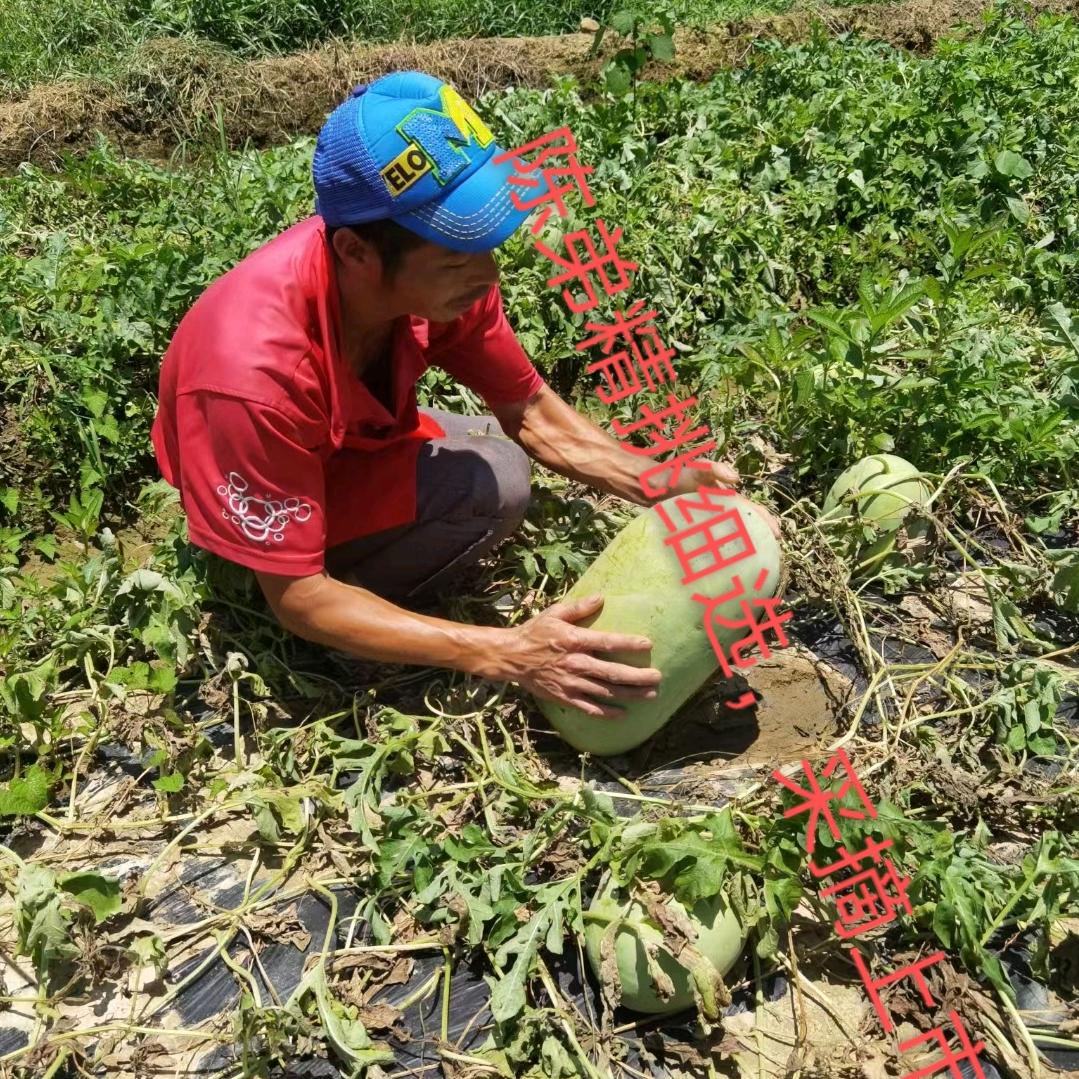 沼心大益歺具一条服务