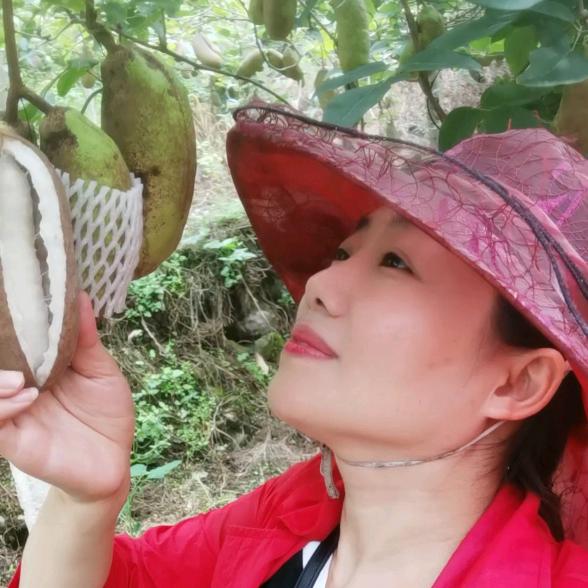 贵阳高姐