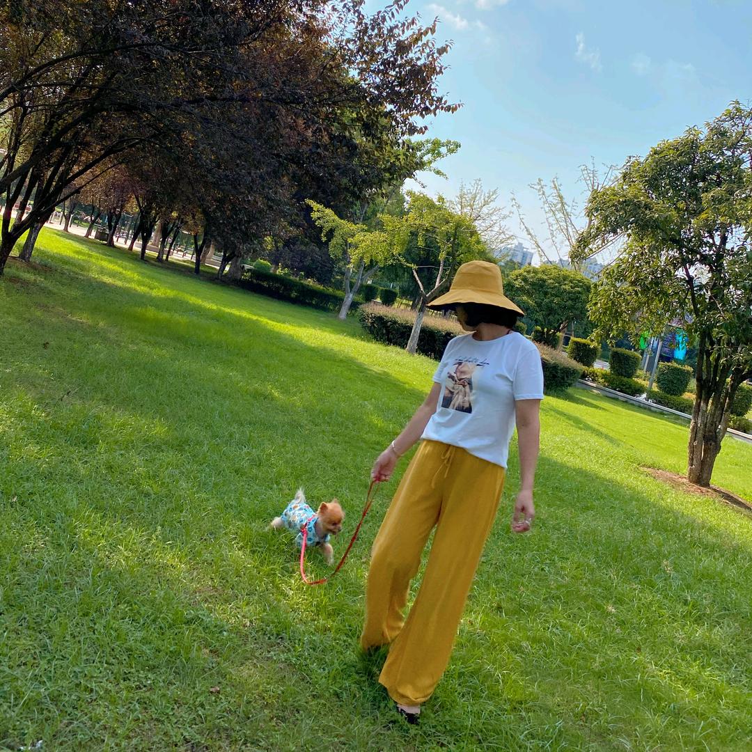 爱茉莉