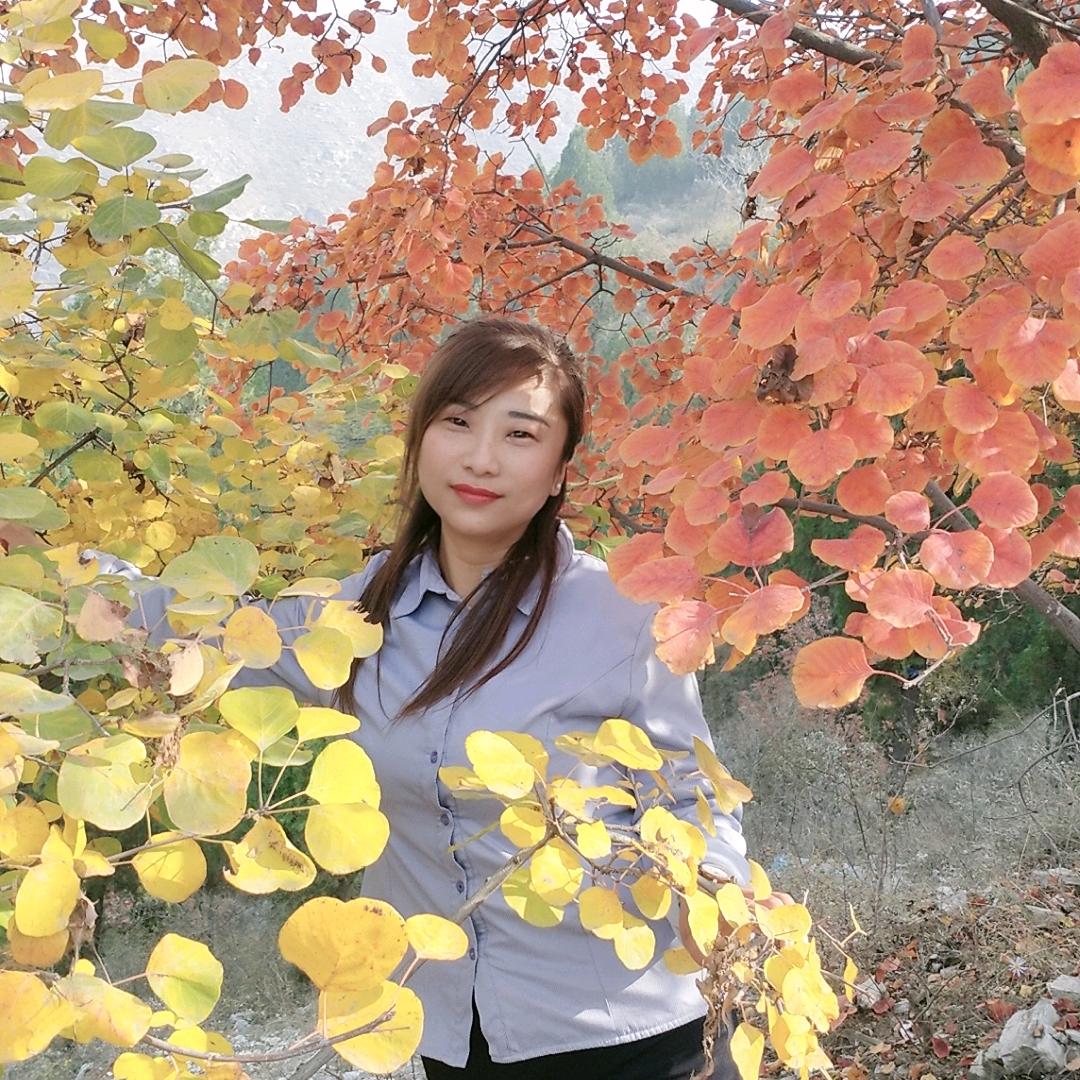 康友养老