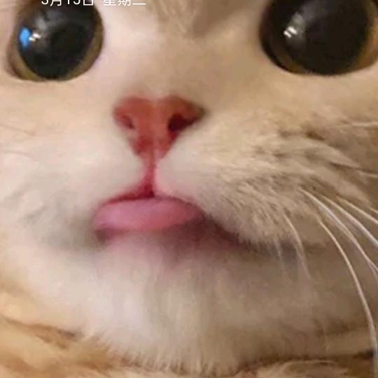 用户4256364214538