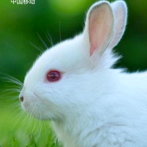 努力生活到底为了什么？