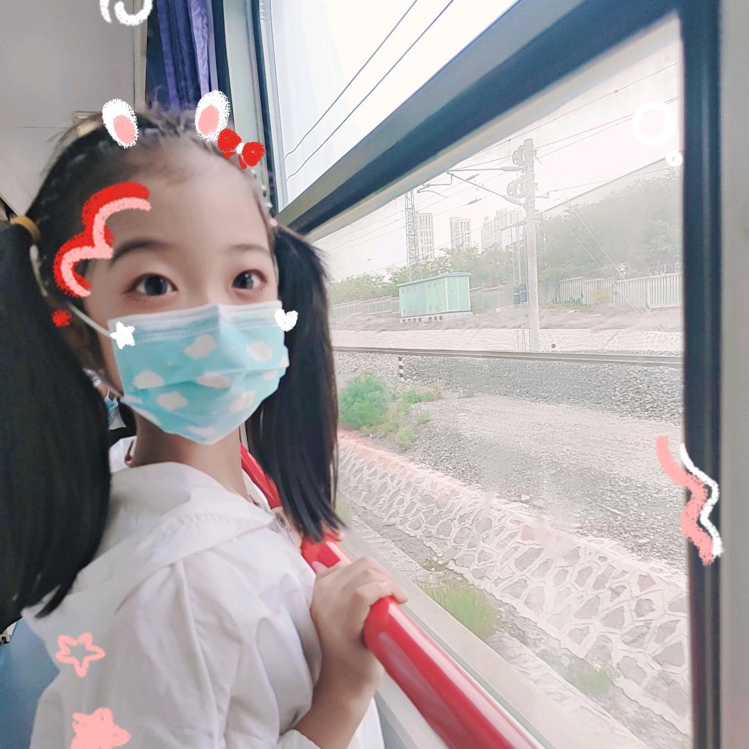 猪猪的幸福生活