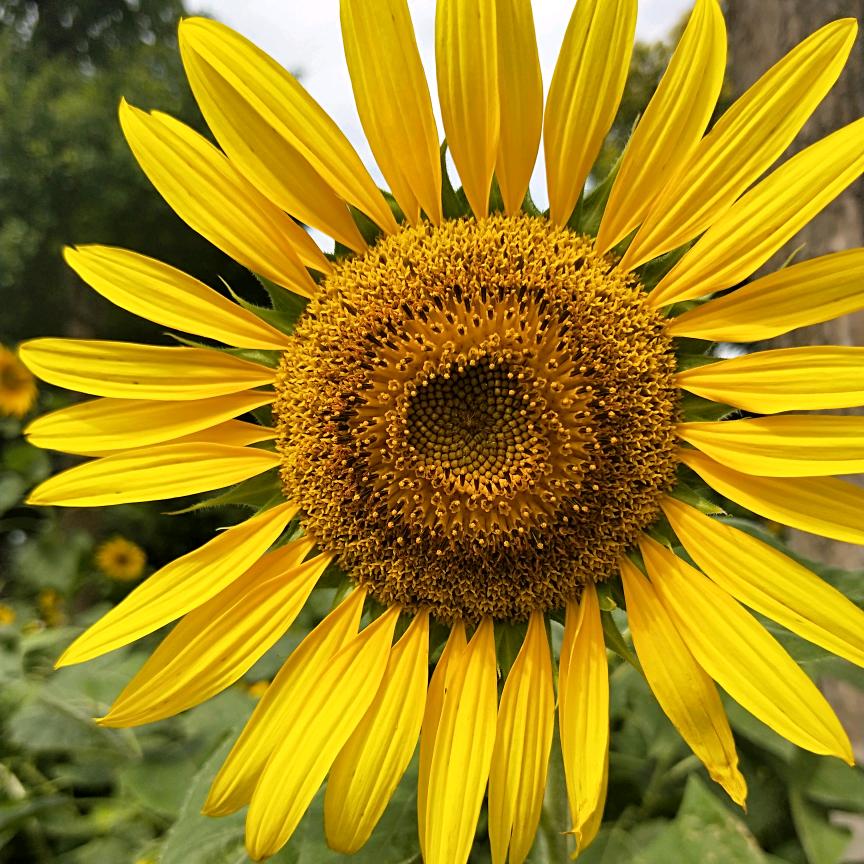 一生翔念🌈🌈