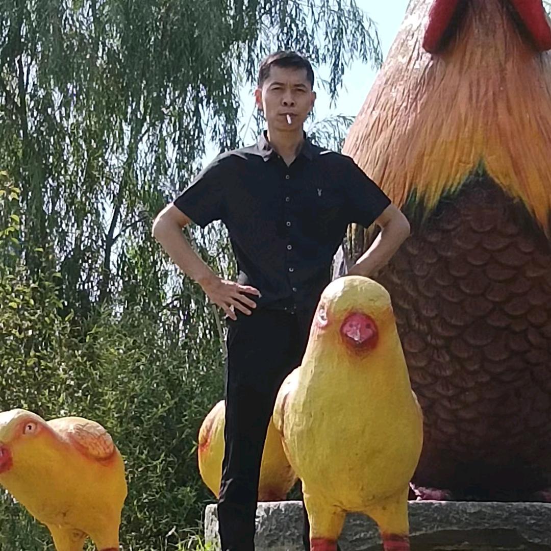 一生情！半生泪！