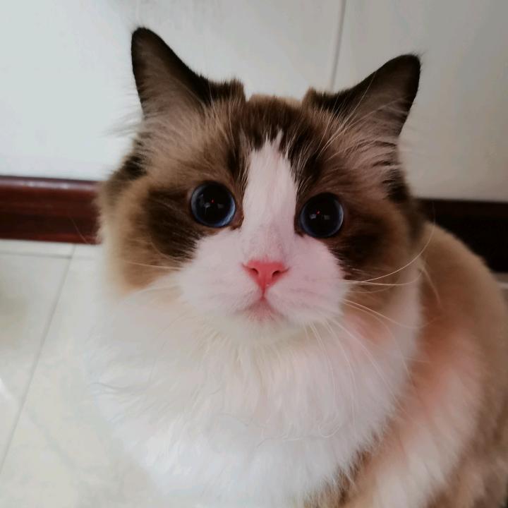 乐一李
