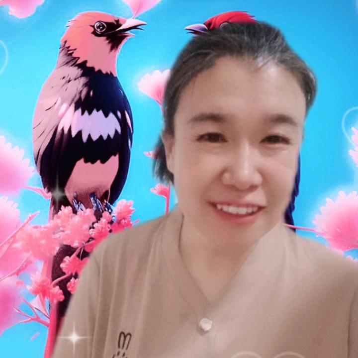 随梦前行