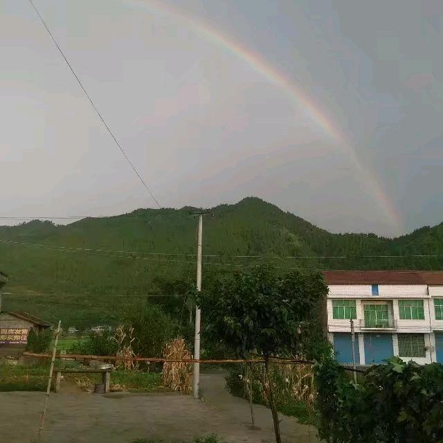 顺丰顺水