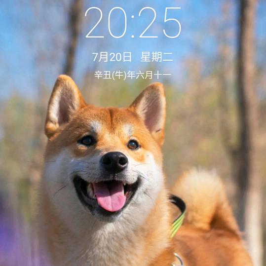 少年时代