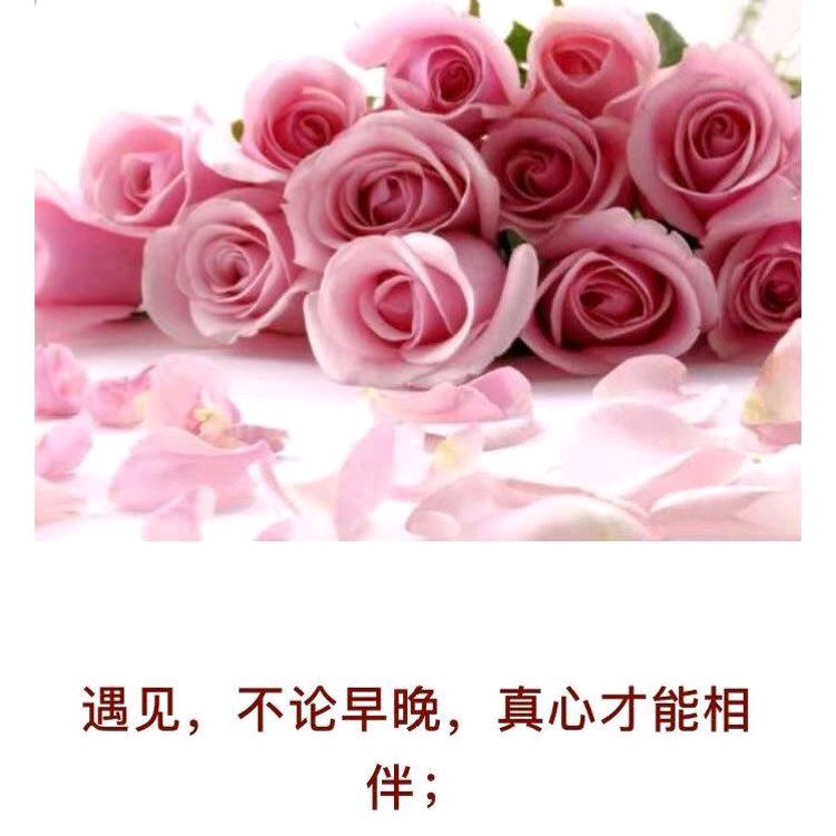我本无智