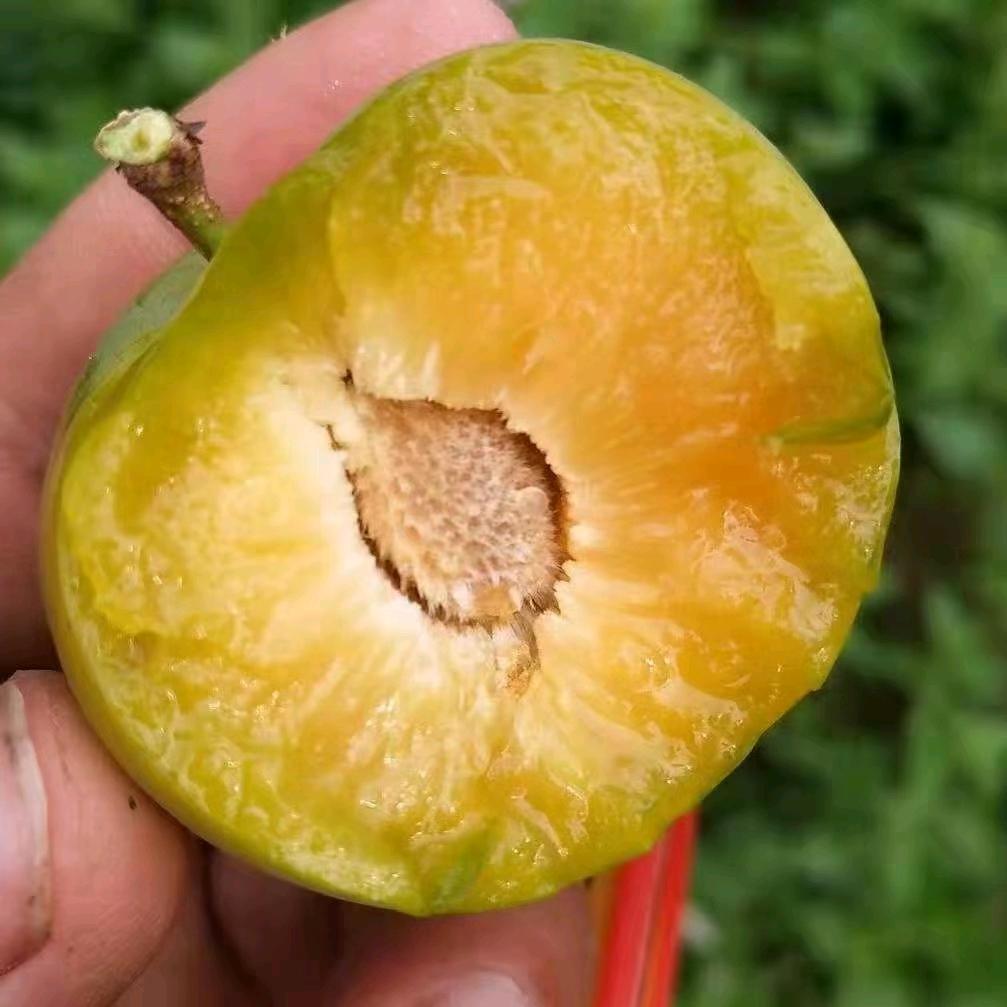 百胜果业