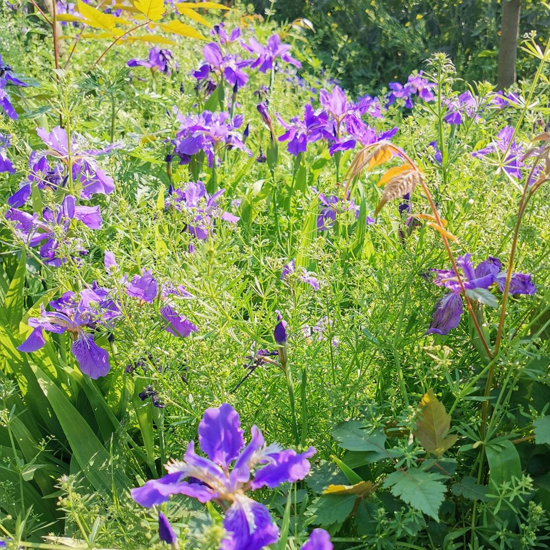 卖核弹的小男孩