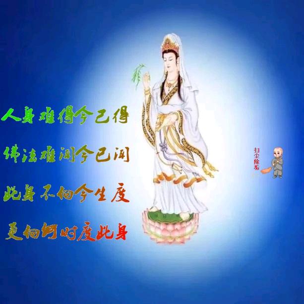 菩提