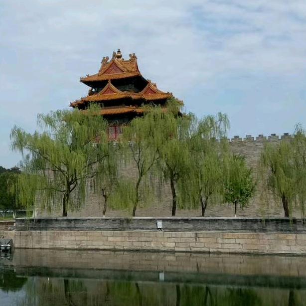 阿灿的样子