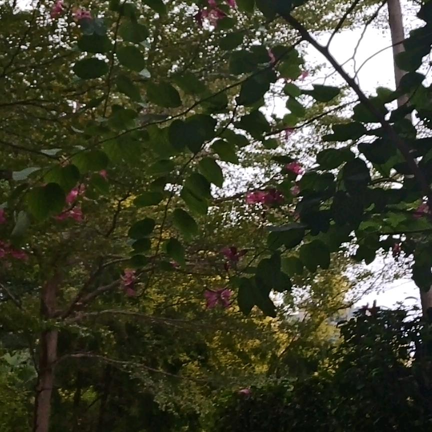 用户334547806688开心的每一天