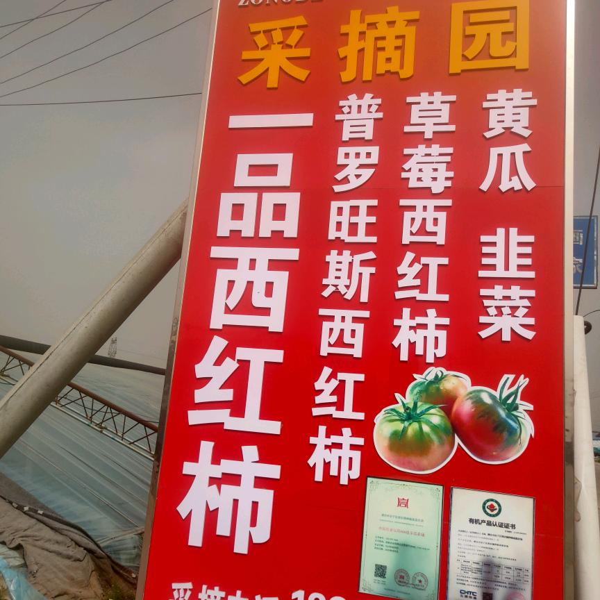 宗德家庭农场（有机蔬菜）