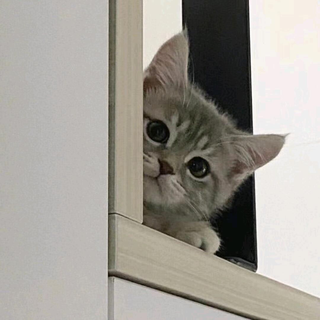 炝锅鱼
