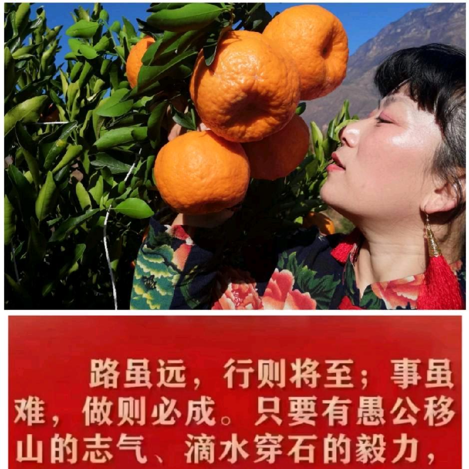 沃婆婆