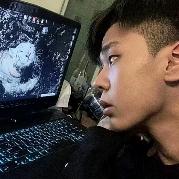 叶    ·