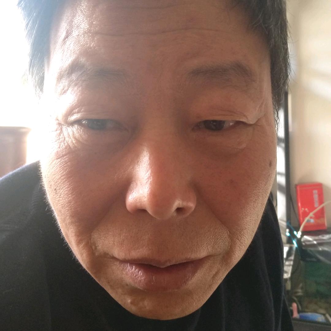 常青树