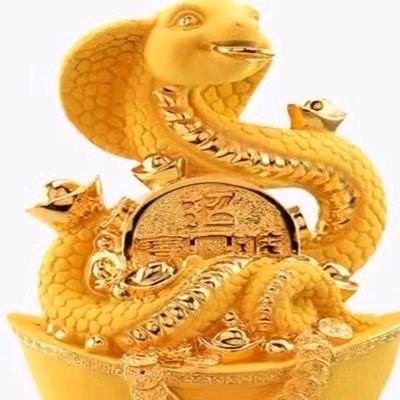 @召树屯