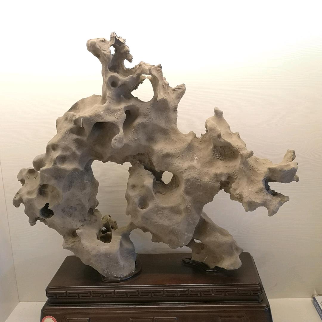 织金县冯木匠奇石盆景园