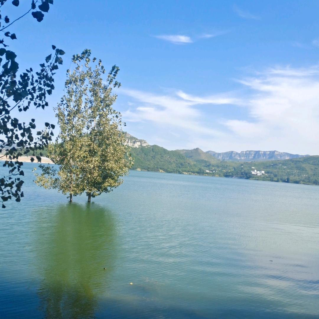 ，ﾚ(ﾟ∀ﾟ;)ﾍ=З=З=З