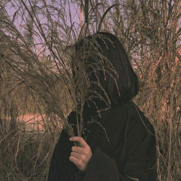 飞笑而过
