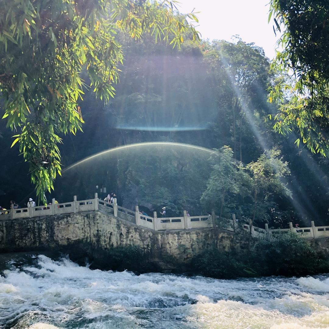 专业清洗洗衣机