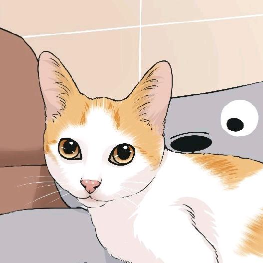 茶茶喵儿🐱