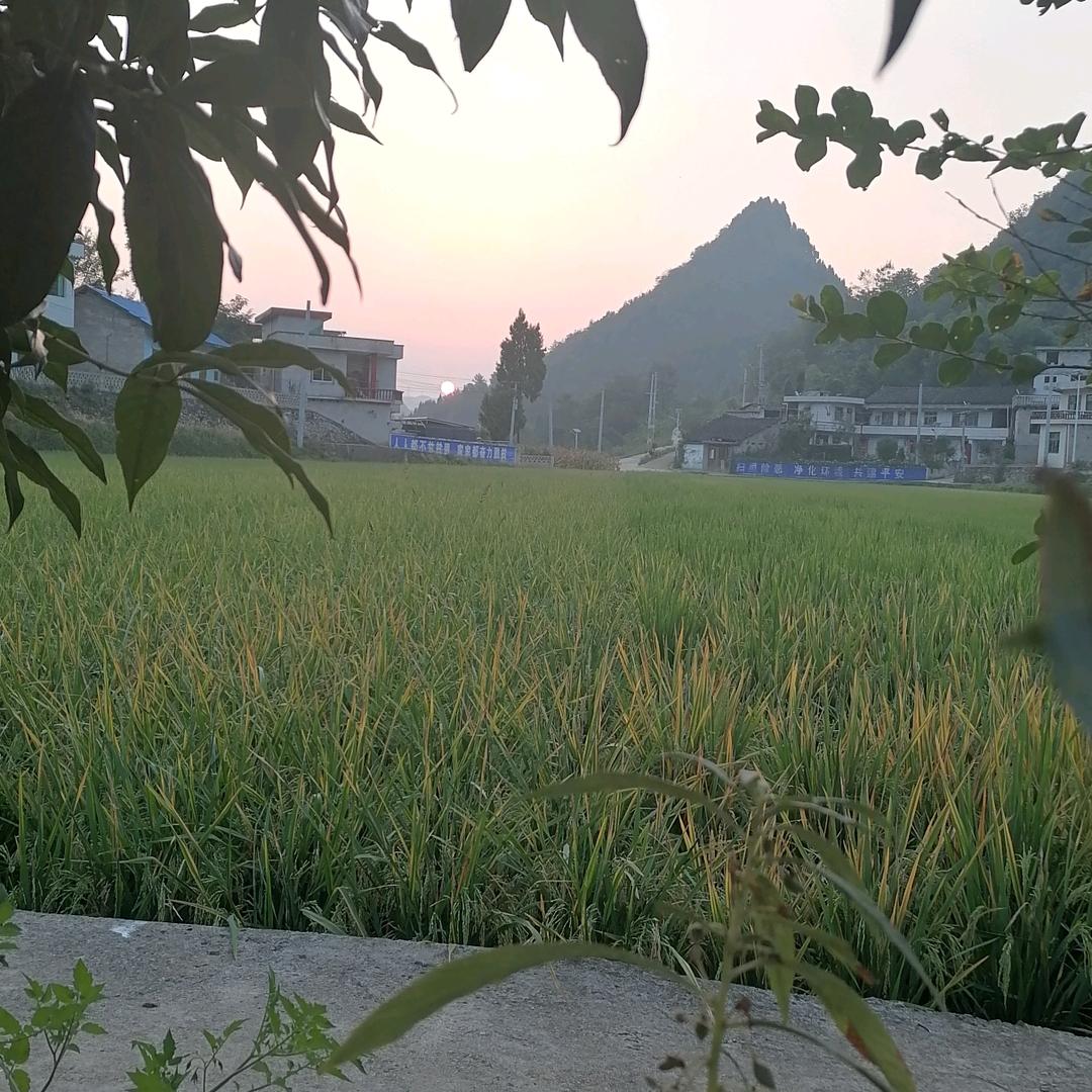 幸福更好