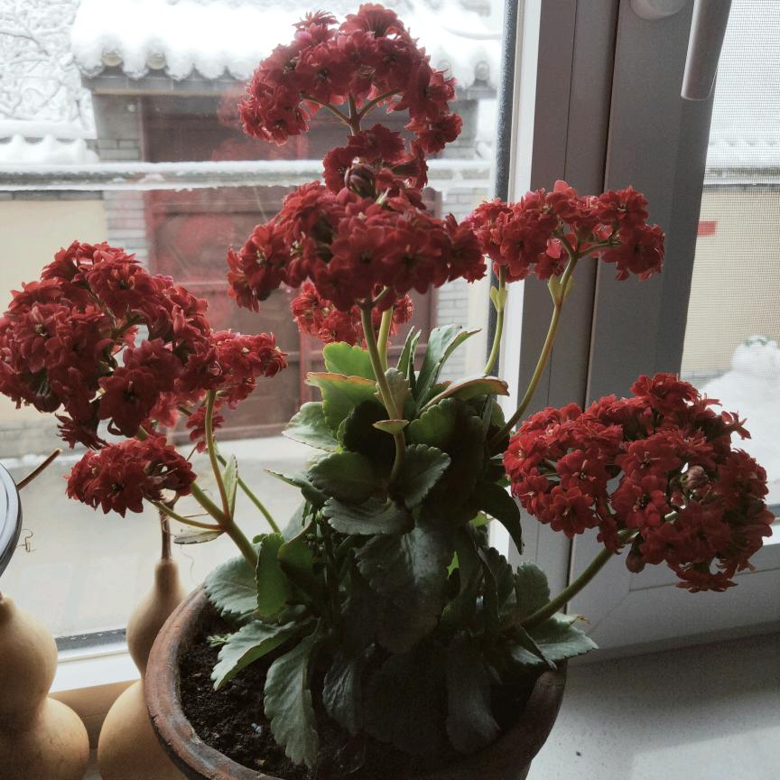 活出精彩（拒私聊)）