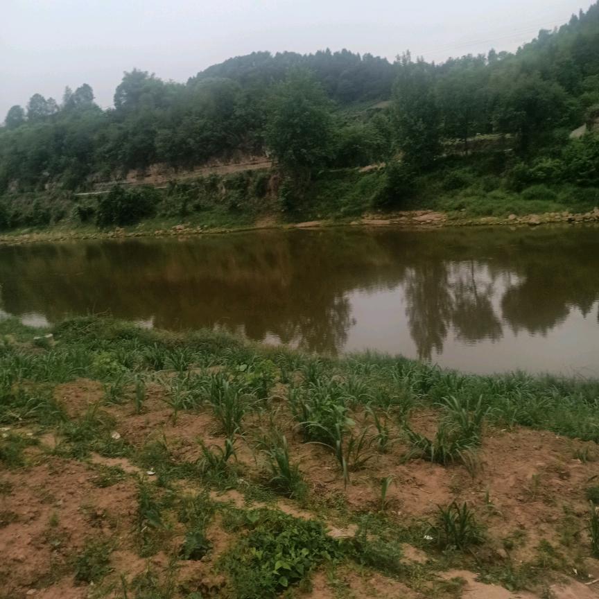 静水激流